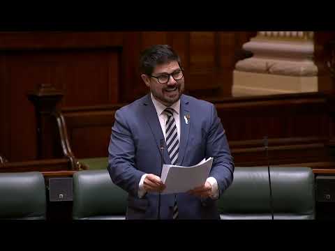 Anthony Cianflone MP: Parliamentary Inquiry on Vulnerable Road User Safety (19/11/25)