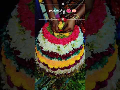 A festival of flowers a festival of joy -bathukamma🌺🪷#bathukamma #viral #telangana #festival