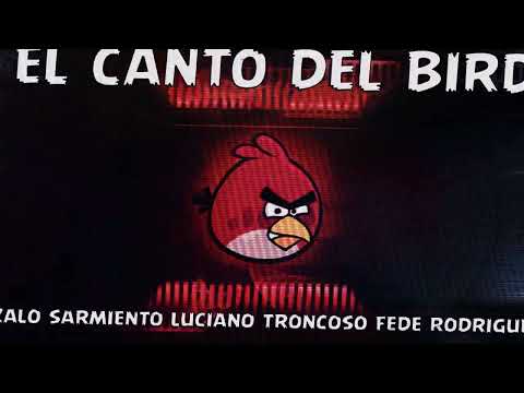 El Canto Del Bird 🐦 Gonzalo Sarmiento - Luciano Troncoso - Fede Rodriguez (#guaracha #aleteo)