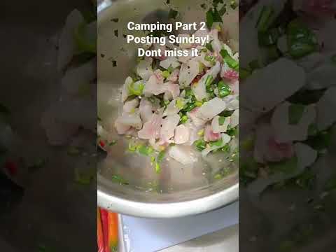 Camping in Blanchisseuse Marianne Bay Pt 2