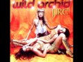 Wild Orchid - Love Will Wait 