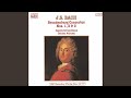 Brandenburg Concerto No. 3 in G Major, BWV 1048: I. —