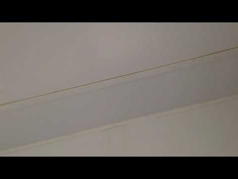 Acrobat ants create mess in Whiting, NJ