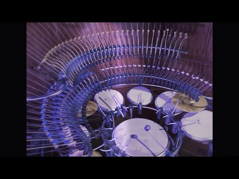 🎉Acoustic Curves (Party Remix)🎉