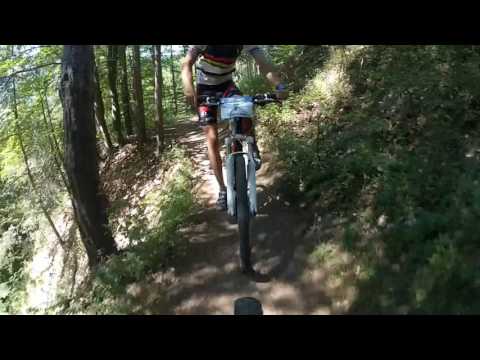 Unofficial Vitosha 100