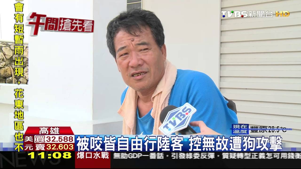 旗津流浪狗咬傷遊客連5件 救護員疲於奔命