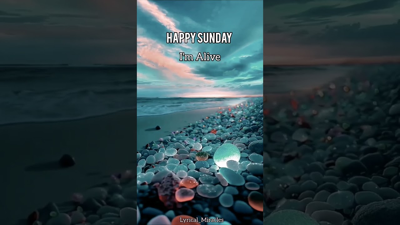 Happy Sunday...🙂  subscribe plzz   #shorts #viral #facts #fyp #sad #status