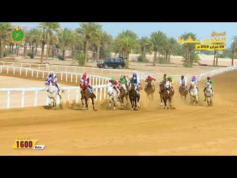 الشوط السابع - السباق الخامس عشر- الرحبة 28/02/2019 Race 7-15th meeting