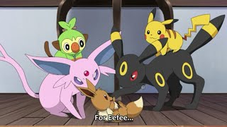 Eevee cute moments!  pokemon journeys ep 79