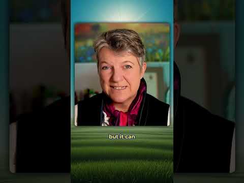 Warum haben so viele Pferde Magenprobleme? Ein kritischer Blick