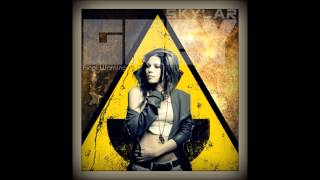 Skylar Grey - Final Warning (Demo Lollapalooza)