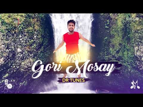 Dr Tunes - Gori Mosay (By d River) - [ 2k18 Chutney ]