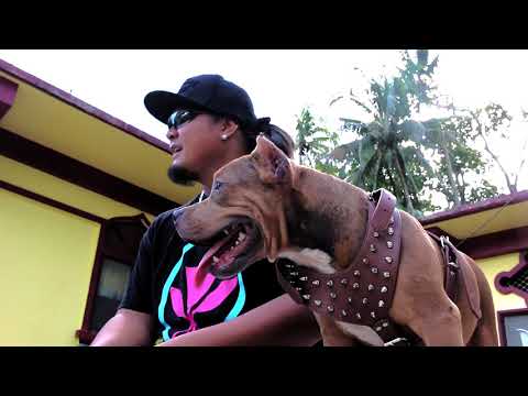 Mountain Boyz  - Bottle Of Whiskey (Official Music Video) Chuuk