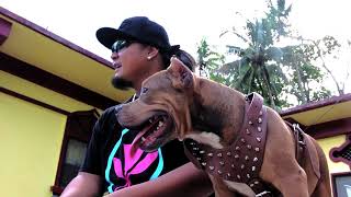 Mountain Boyz  - Bottle Of Whiskey (Official Music Video) Chuuk