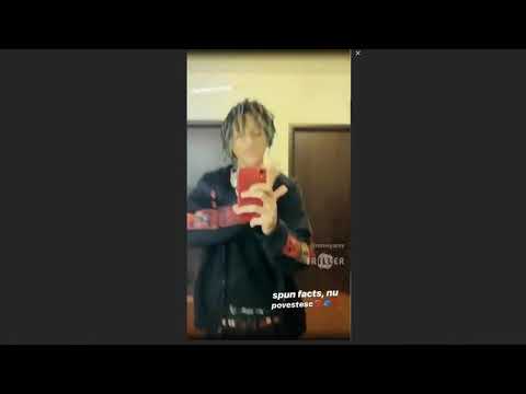 Nmw Yanny - facts Snippet