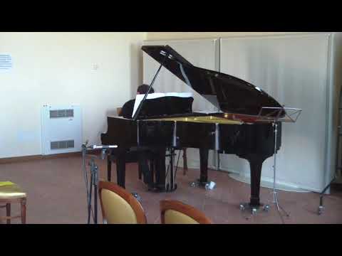 ASSOCIAZIONE MAIOLICHE MUSICALI  Corso Estivo Marco Allegri - Sala Concertistica – Terra del Sole