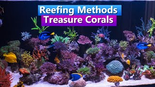 Reefing Methods - With Treasure Corals