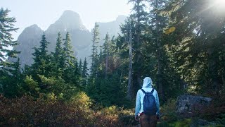 Download lagu West Lion mp3