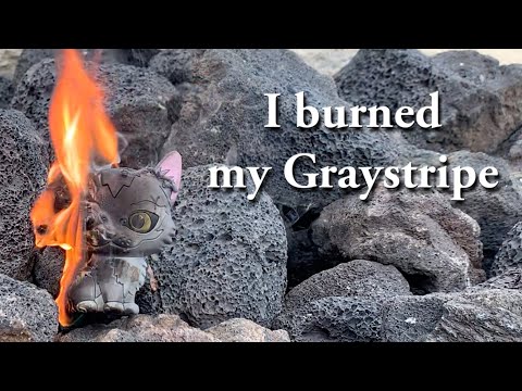 I Burned a Graystripe Toy because I can (Warrior Cats)