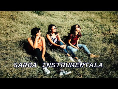 SARBA INSTRUMENTALA [40] | COLAJ SARBE DE JOC LA ORGA | SARBA 2023 | HIT 2023
