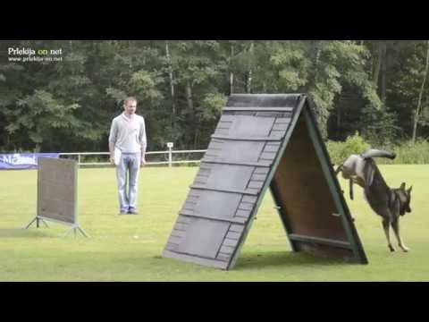 Turnir šolanih psov za pokal VOMAR 2018 v Lukavcih