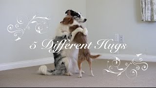 Different types of hugs
