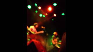 Bright eyes - eagle on a pole