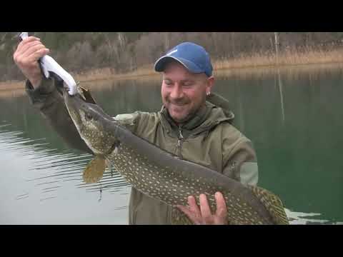 Gurmanske ćakule - Štuka