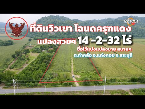 ขายที่ดินติดเขา วิวสวย แปลงสวยๆ ติดถนน 14-2-32 ไร่ ใกล้อำเภอแก่งคอย - video