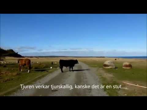 En cykeltur till Österlen - tredje delen!