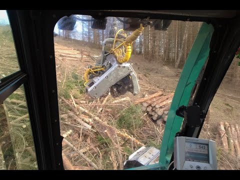 🌲*OnBoard* Impex Königstiger T25 • HarvesterAction • 15 Meter Kran • Steilhang • Tiger in wood🌲