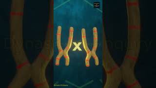 CAN 2 HUMANS REPOULATE EARTH?🤔✅ #shorts #science #biology