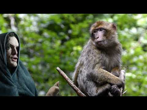 Zerg Cabal Meeting # 378