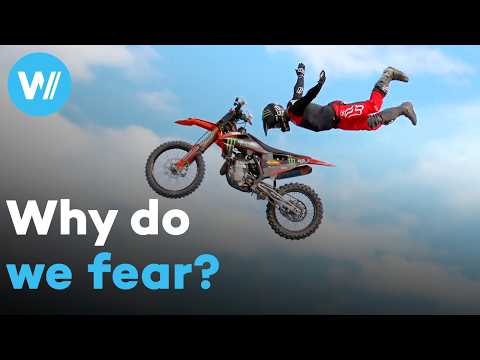 The Science of Fear: Irrational fears, thrill-seekers and dramatic treatments (Full documentary)