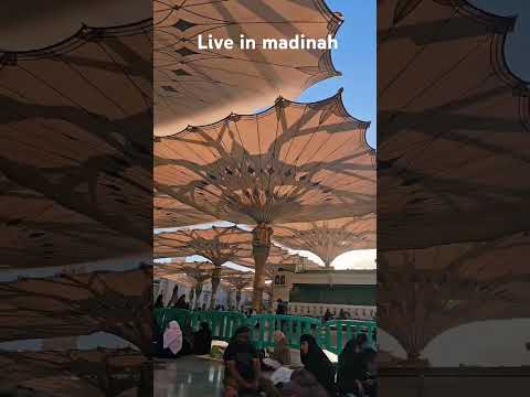 masjidnabawi kisi jannat se km nhi #reels #love #viralvideo #vlog #viralreels #reels #viralvideo