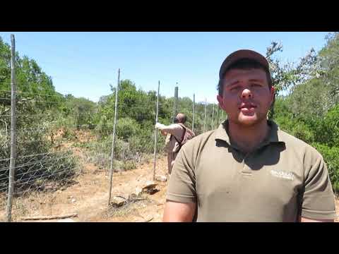 Amakhala Game Reserve - The Importance of Fence Patrols