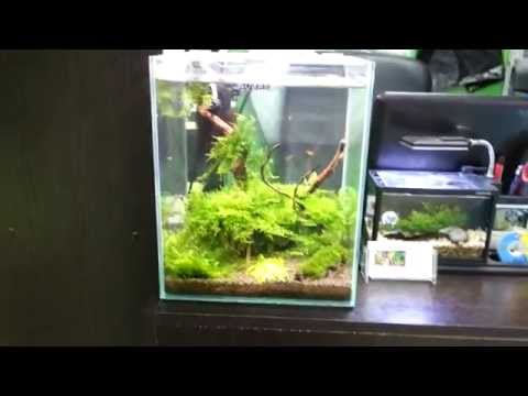 Aquael Smart Shrimp Set 20