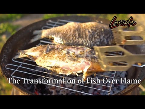 20 jan 26 b - Why Grilled Fish Tastes Better Over Fire: The Science of Heat, Smoke, and Flavor