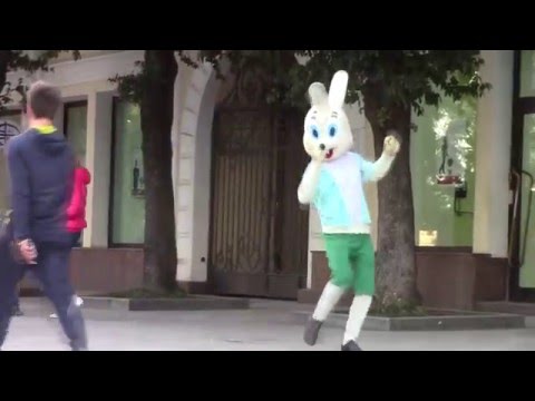 Неудержимый зайчик танцор | ЯЛТА, НАБЕРЕЖНАЯ, КРЫМ 2016