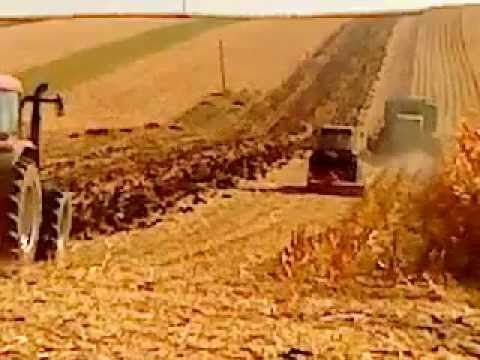 Undeva in Judetul Cluj(Tritenii De Jos) SAGAU DANIEL