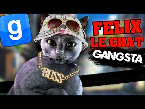 FELIX LE CHAT GANGSTA - GARRY'S MOD DARKRP