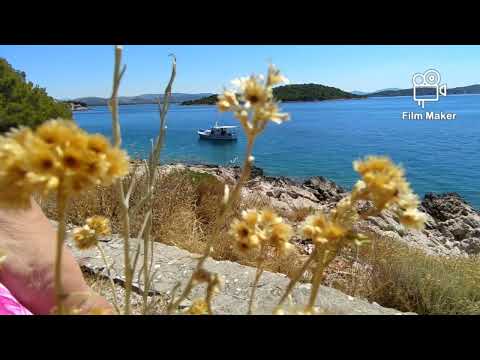 Otok Prvić