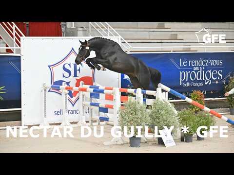 NECTAR DU GUILLY GFE