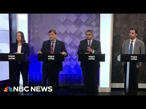 Maine Democratic Senate candidates discuss which of Platner's ideas they would use