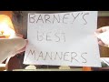 Barney And Friends VHS Collection
