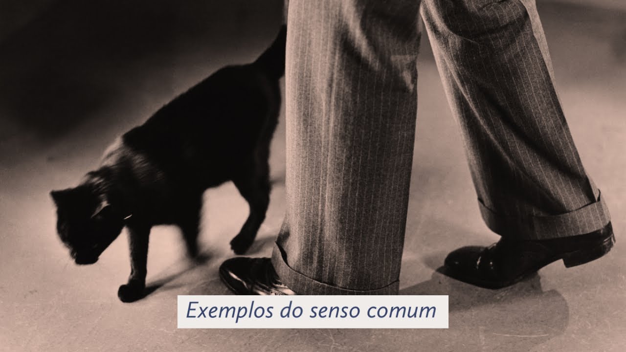 Exemplos do Senso Comum