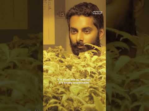 Mom Tours a Grow House for the First Time #shorts #cannabis