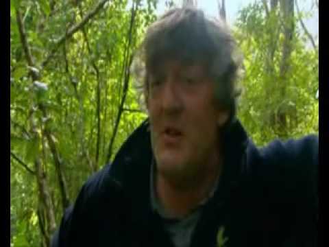 Best Moments of "Last chance to see" part 2