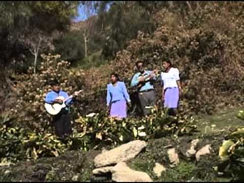 salaque. amalaya chola.