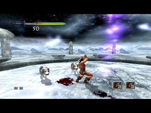 Barbarian GameCube